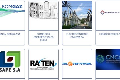 companiile din sectorul energetic