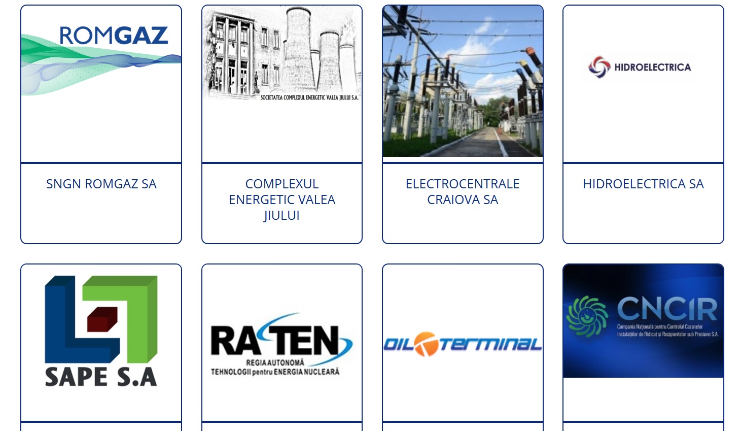 companiile din sectorul energetic